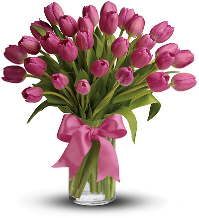 Precious Pink Tulips